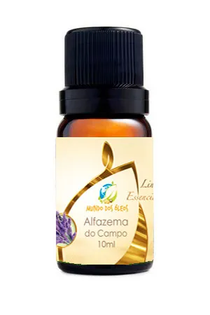 Óleo Essencial de Alfazema do Campo / Lavanda Grosso