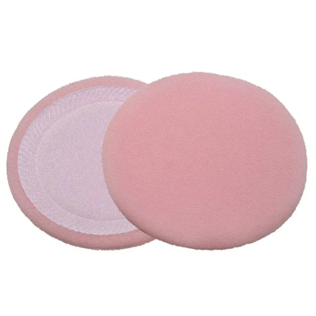 ESPONJA SANTA CLARA PO COMPACTO 02 UND R.208