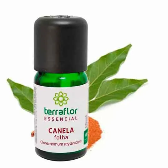 Óleo Essencial de Canela Folha - Terra Flor - Frasco com 10ml