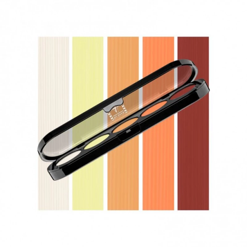 ATELIER PARIS PALETA DE SOMBRA T06