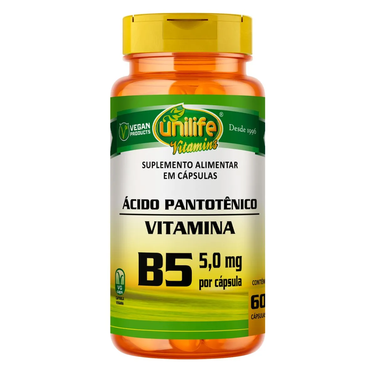 Vitamina B5 Ácido Pantotênico 60 Cáps - Unilife